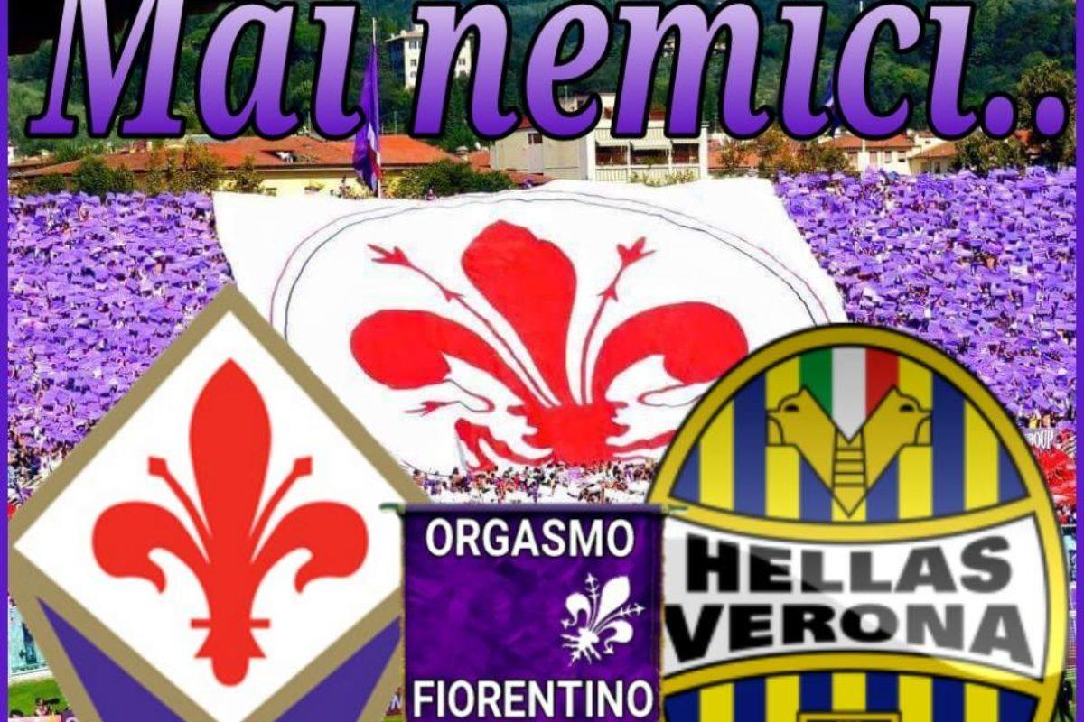 Calcio: Urge “elettroshock in casa Fiorentina”