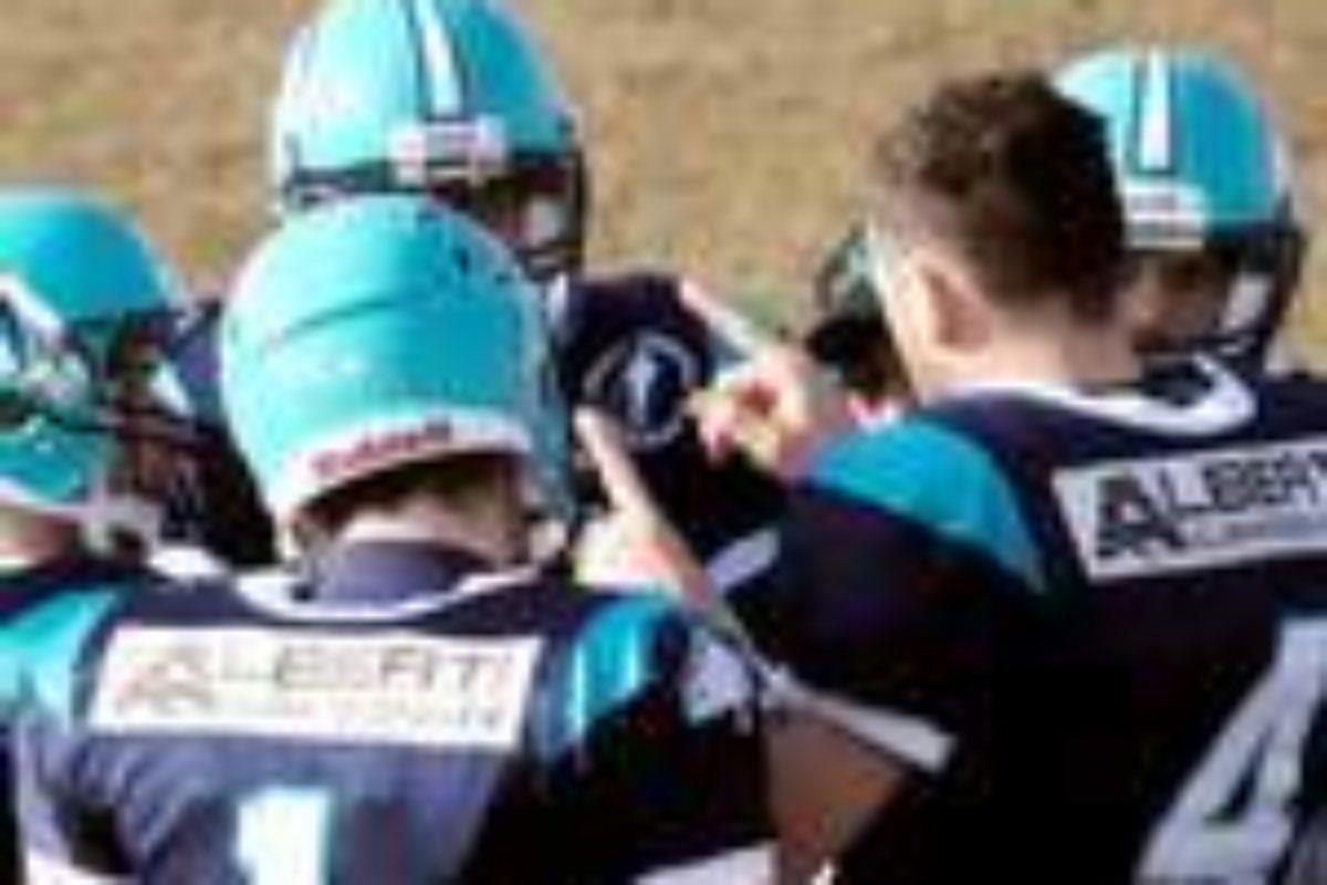 Football Americano: Le prime news da casa Guelfi Firenze