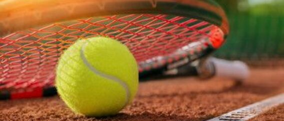 Tennis: “Le Battute del Ballerini”: non hano fatto giocare “Big-King” Djokovic a Indian Wells ne lo…