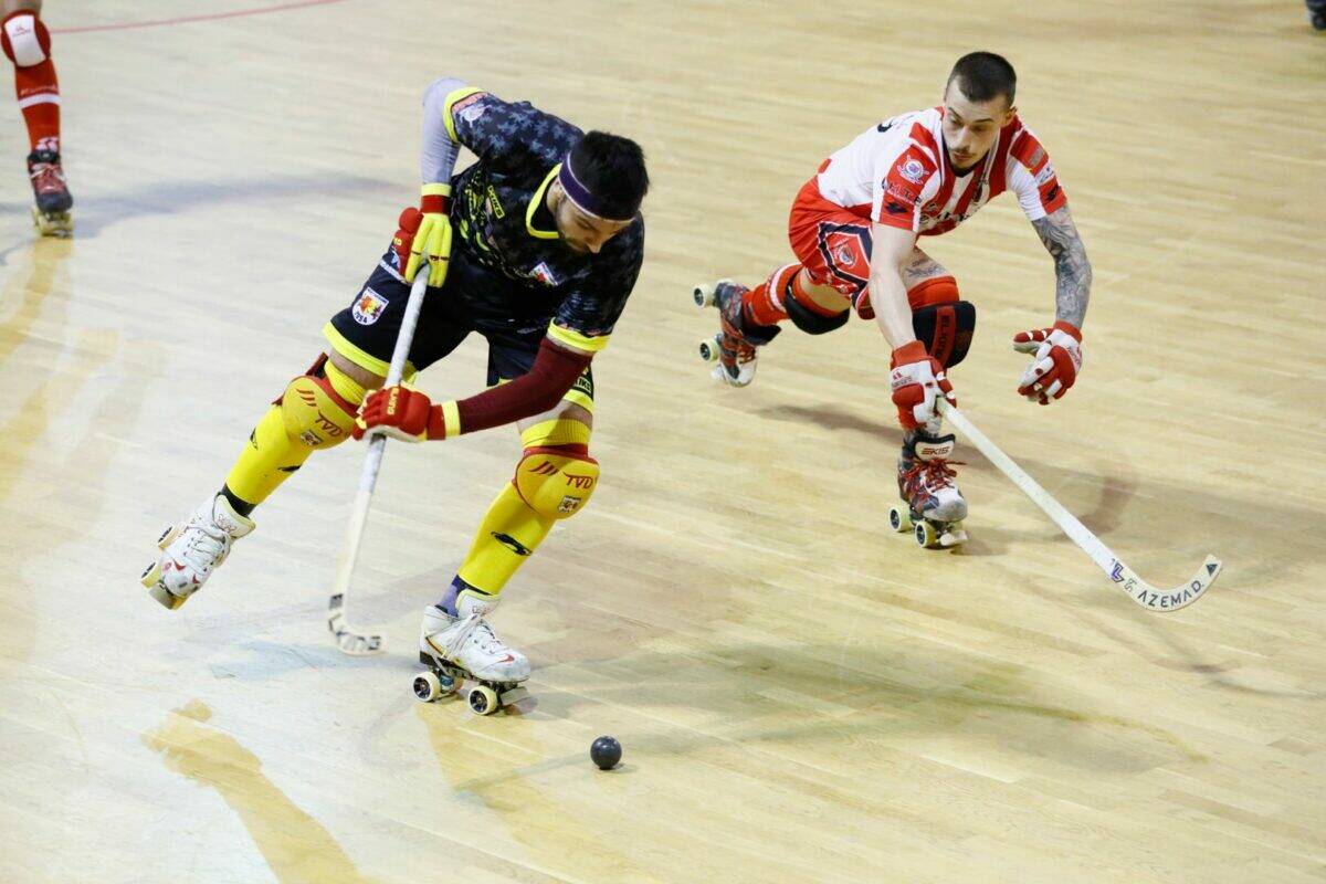 Pianeta Hockey a Rotelle Canali 96/187