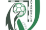 Pallamano: altro “velenoso”stop interno per Tavarnelle: Serra Fasano ci batte 25-23 !!!!