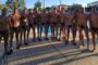 Pallanuoto: 2°stop del  7/ Bello con la Croazia