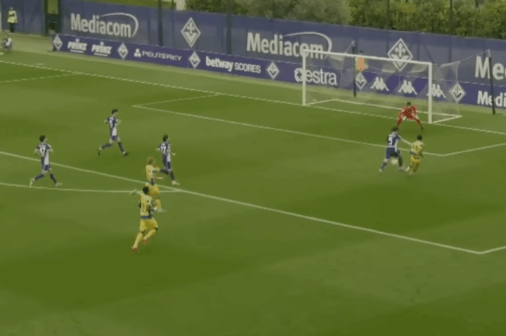 Calcio: Giovani pianticelle viola crescono…..Vincono tutte tranne l’Under 18 !!