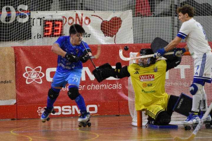 Pianeta Hockey a Rotelle Canale 187