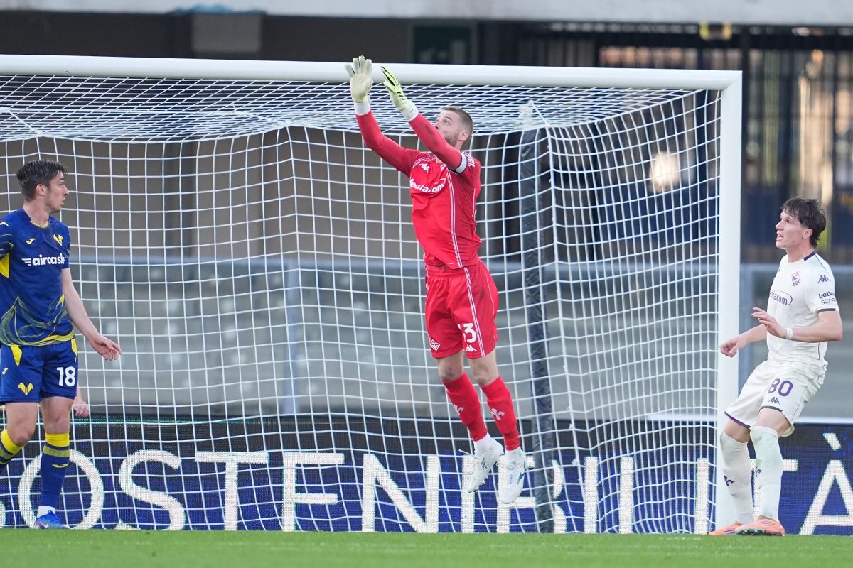 CALCIO- Le Pagelle viola di Firenze Viola Supersport per Hellas Verona-Fiorentina