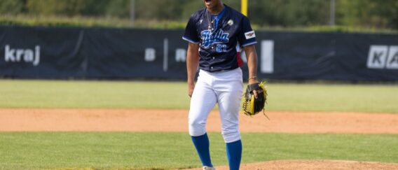 llaseball / Softball