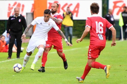 ACF FIORENTINA VS BARI 04