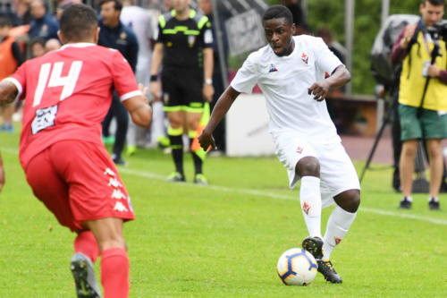 ACF FIORENTINA VS BARI 37