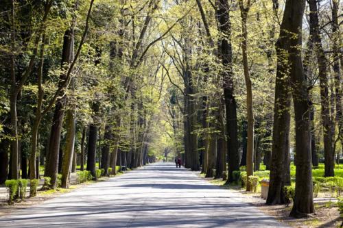 Cascine Firenze Marathon