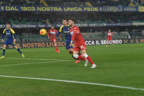 HELLAS VERONA FC VS ACF FIORENTINA 41