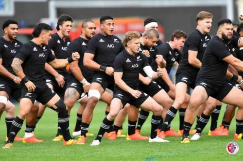 ITALY VS NEW ZEALAND 13